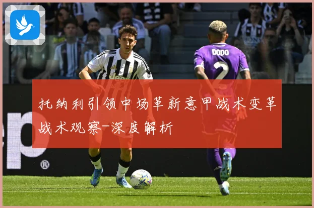 托纳利引领中场革新意甲战术变革战术观察-深度解析