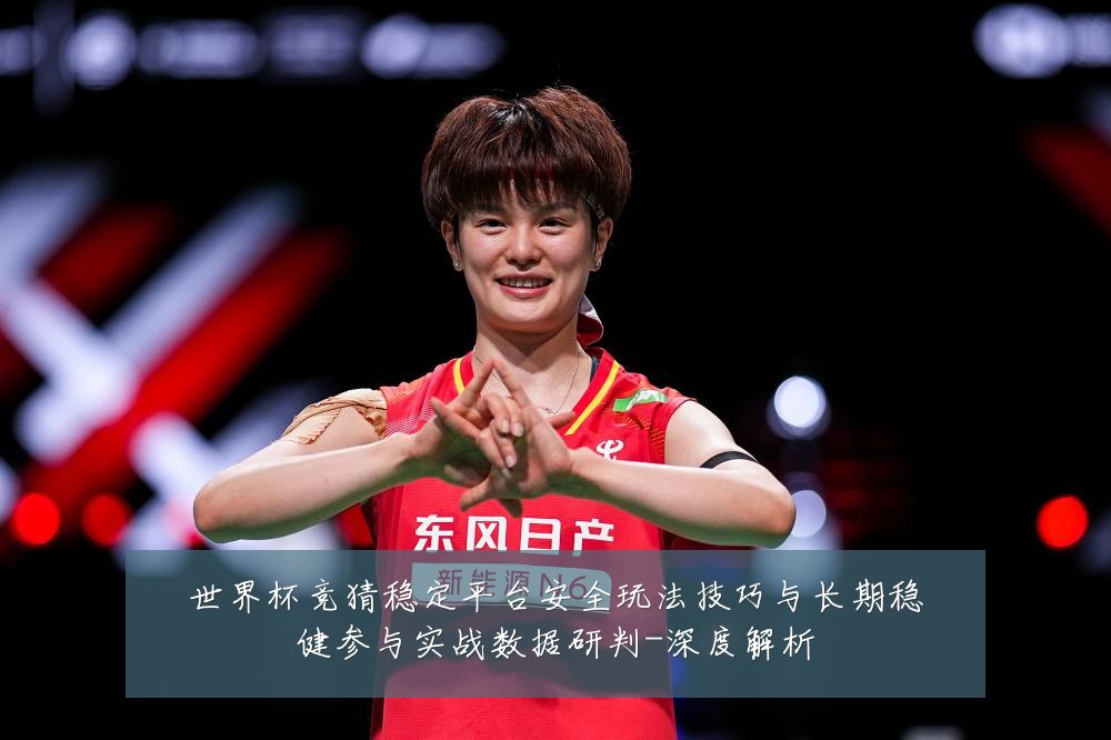 世界杯竞猜稳定平台安全玩法技巧与长期稳健参与实战数据研判-深度解析