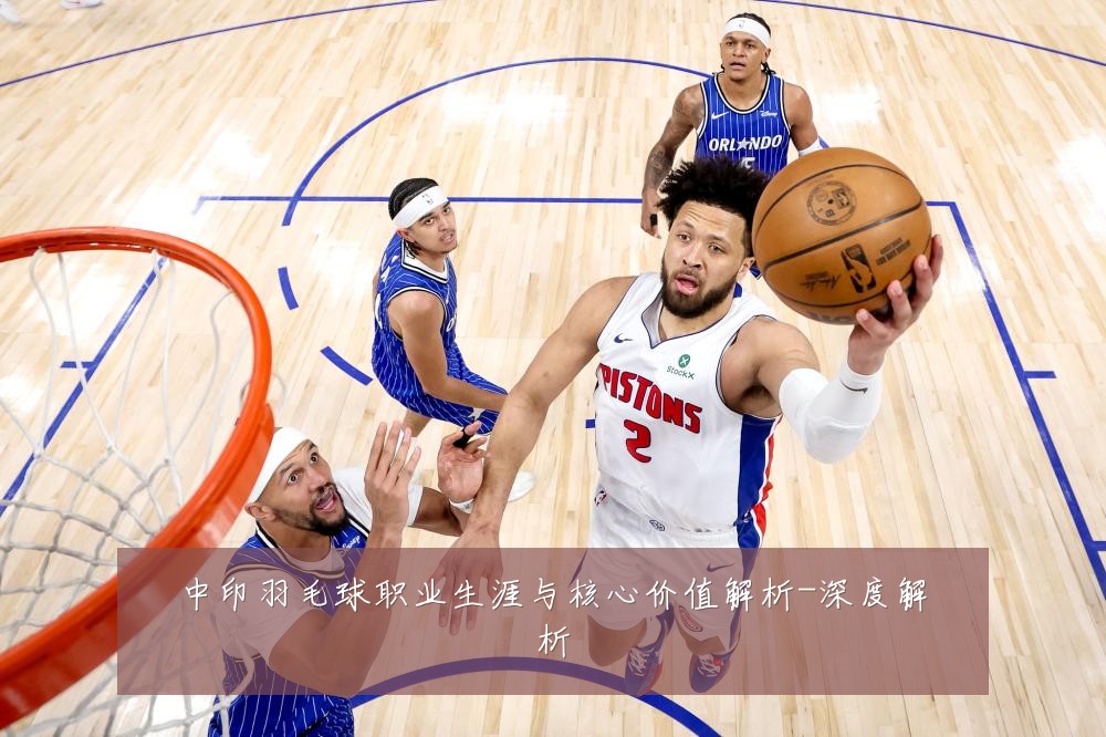 中印羽毛球职业生涯与核心价值解析-深度解析